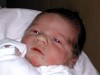 cole anthony.jpg